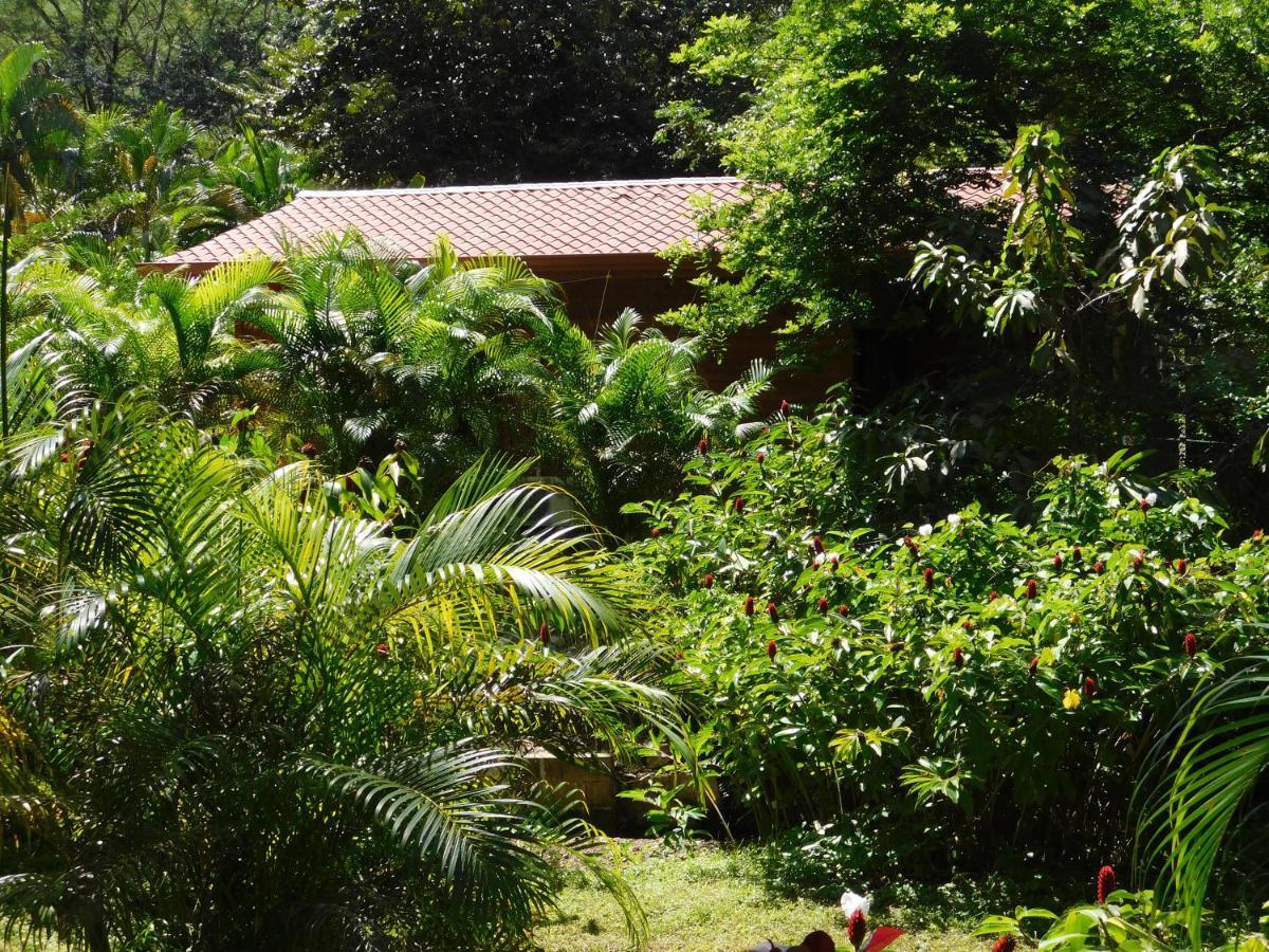 Villasjungle 2 Sámara Esterno foto